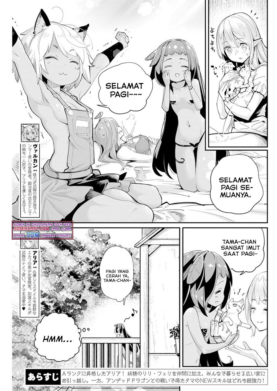 S-Rank Monster no Behemoth Dakedo, Neko to Machigawarete Erufu Musume no Kishi (Pet) Toshite Kurashitemasu Chapter 40 Gambar 4